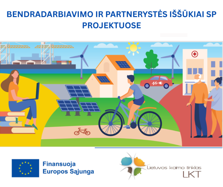 Bendradarbiavimo ir partnerystės iššūkiai SP projektuose