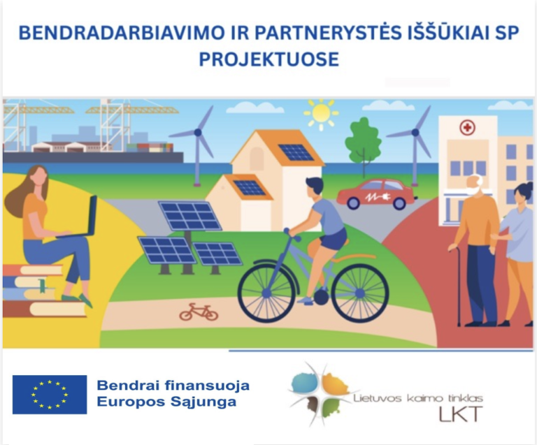 Bendradarbiavimo ir partnerystės iššūkiai SP projektuose